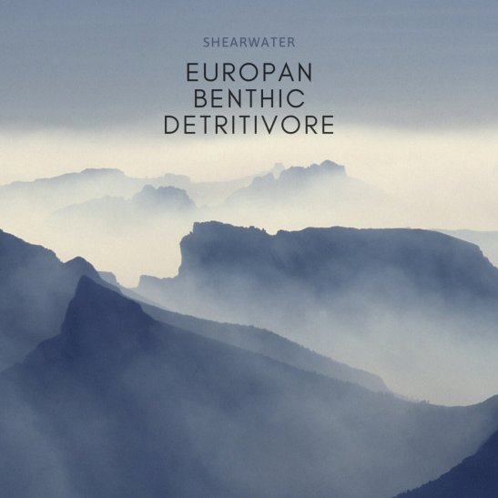 Shearwater Europan album review